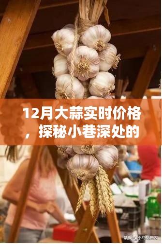 探秘小巷深處的蒜香樂園，揭秘大蒜實(shí)時(shí)價(jià)格走勢(shì)，洞悉市場(chǎng)變化