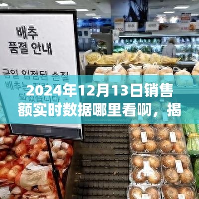 揭秘2024年銷售額實(shí)時(shí)數(shù)據(jù)獲取渠道，掌握商業(yè)脈搏的必備指南