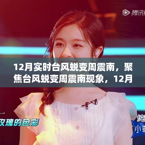 臺(tái)風(fēng)蛻變周震南現(xiàn)象，12月實(shí)時(shí)觀察下的多元解讀與反思