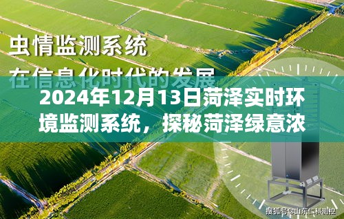探秘菏澤綠意濃時(shí)，實(shí)時(shí)環(huán)境監(jiān)測(cè)系統(tǒng)邀您共賞自然之美