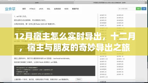 十二月宿主與朋友的奇妙導(dǎo)出之旅，實時操作指南