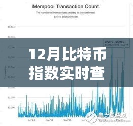 12月比特幣指數(shù)實時查詢，全面評測與詳細介紹