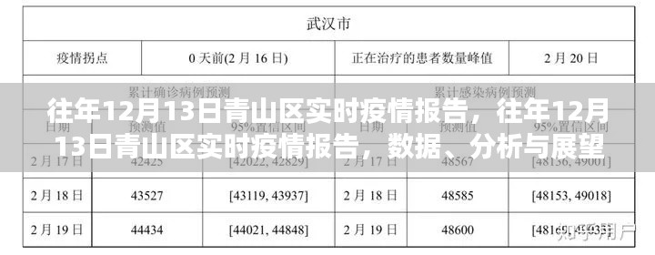 往年12月13日青山區(qū)疫情實(shí)時(shí)報(bào)告，數(shù)據(jù)、分析與未來展望
