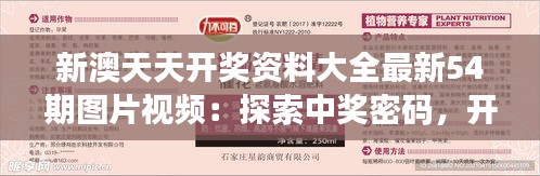 新澳天天開獎資料大全最新54期圖片視頻：探索中獎密碼，開啟財富之門
