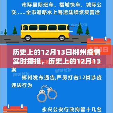 歷史上的12月13日郴州疫情深度分析與實(shí)時(shí)播報(bào)