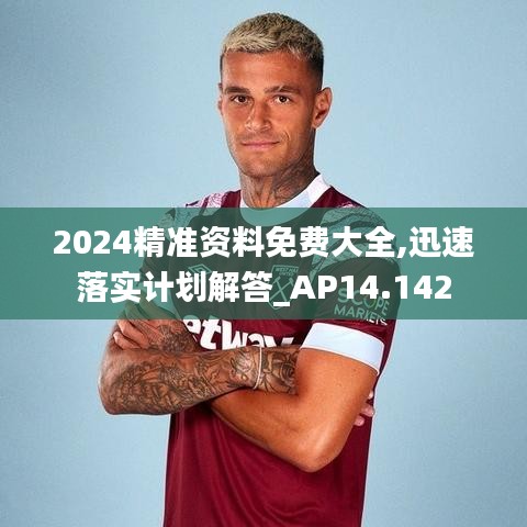 2024精準(zhǔn)資料免費(fèi)大全,迅速落實(shí)計劃解答_AP14.142