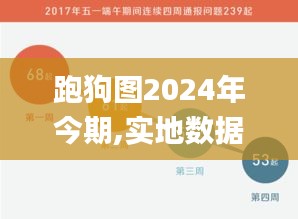 跑狗圖2024年今期,實地數(shù)據(jù)評估執(zhí)行_交互版1.608