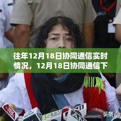 12月18日協(xié)同通信下的心靈與自然對(duì)話之旅，探尋內(nèi)心平和之地實(shí)時(shí)報(bào)告