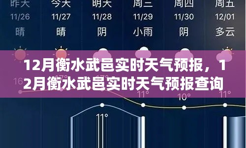12月衡水武邑實時天氣預(yù)報及查詢步驟指南