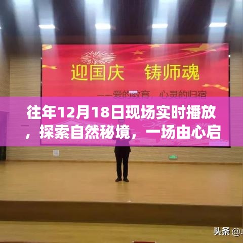 探索自然秘境，一場由心啟航的旅行盛宴，相約自然之門的盛宴