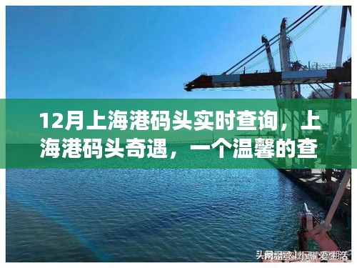 上海港碼頭奇遇，溫馨的查詢故事實(shí)時(shí)更新