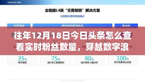 揭秘?cái)?shù)字浪潮下的粉絲風(fēng)云，如何在十二月十八日實(shí)時(shí)查看今日頭條粉絲數(shù)量？