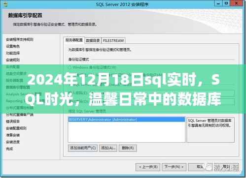 數(shù)據(jù)庫奇緣，SQL時光下的溫馨日常與實時數(shù)據(jù)探索（2024年12月18日）