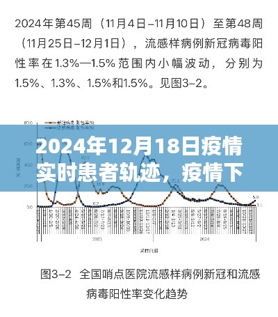 2024年12月18日疫情實(shí)時(shí)患者軌跡回顧與反思，疫情下的軌跡與反思