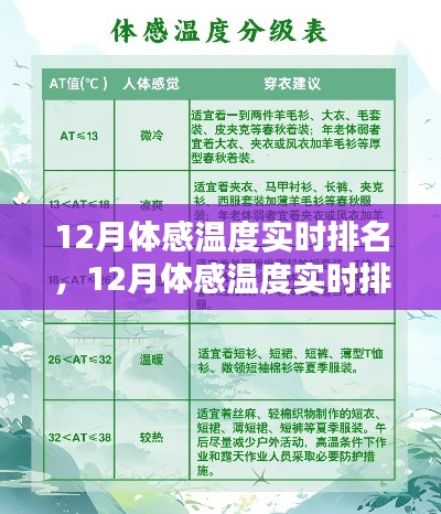 12月體感溫度實時排名查詢全攻略，從入門到精通的步驟指南