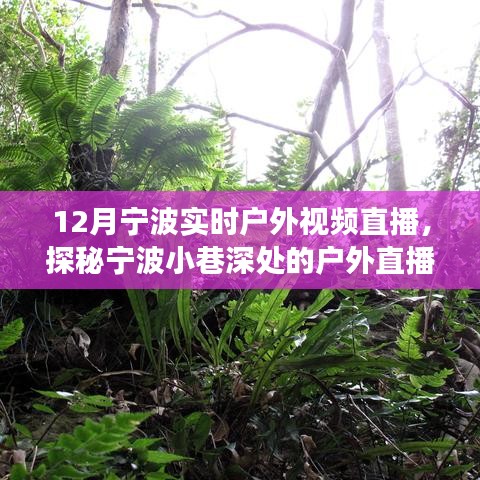 12月寧波戶外直播探秘，冬日風情直播秀，小巷深處的秘境展示