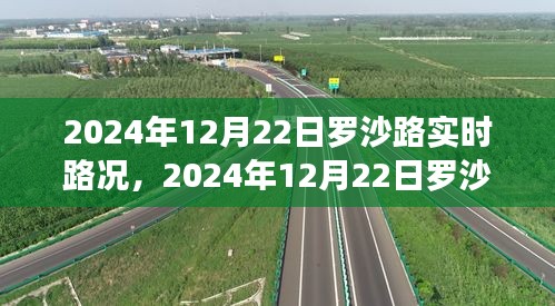 羅沙路實(shí)時(shí)路況導(dǎo)航指南，行車技巧從初學(xué)到進(jìn)階