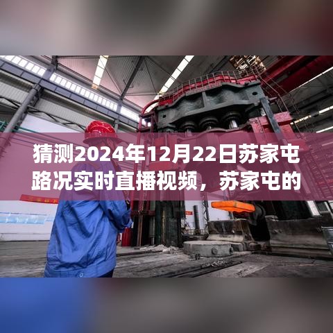 蘇家屯路況實(shí)時(shí)直播，探索神秘小巷的特色小店，預(yù)測(cè)未來路況之旅