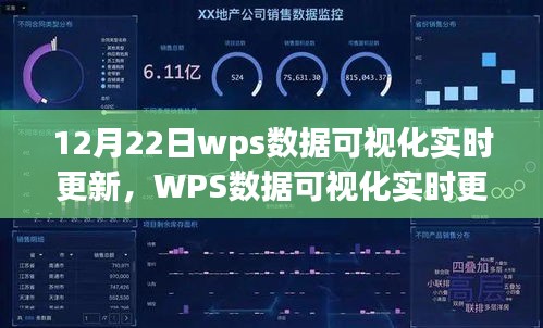 WPS數(shù)據(jù)可視化實時更新解析，探索12月22日三大要點數(shù)據(jù)可視化報告