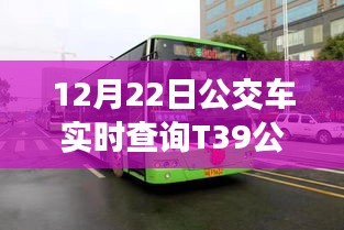 科技革新出行體驗(yàn)，實(shí)時(shí)追蹤T39公交，智能出行新時(shí)代開(kāi)啟