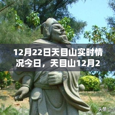 天目山12月22日實(shí)時(shí)情況探析，某某觀點(diǎn)下的深度闡述