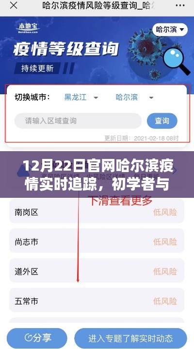 哈爾濱疫情實(shí)時(shí)追蹤指南，從初學(xué)者到進(jìn)階用戶，一鍵掌握（以12月22日為例）