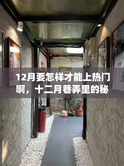 十二月巷弄探秘，特色小店點(diǎn)燃熱門(mén)探索之旅