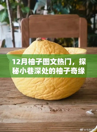 探秘柚子奇緣，隱藏版柚子主題小店的獨(dú)特魅力，12月柚子圖文熱門(mén)