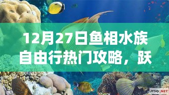 12月27日魚相水族心靈之旅，深藍(lán)海洋自由行攻略