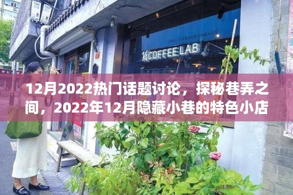 巷弄探秘，揭秘十二月隱藏小巷的特色小店故事