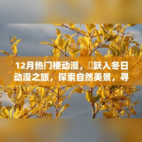 12月熱門梗動(dòng)漫，躍入冬日探索之旅，自然美景與內(nèi)心的奇跡
