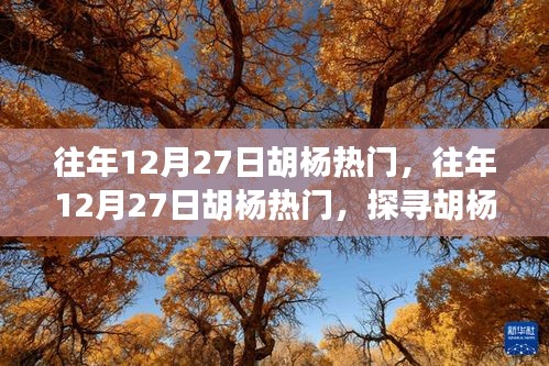 探尋胡楊魅力與熱門(mén)事件背后的故事，歷年12月27日胡楊之旅的熱門(mén)揭秘