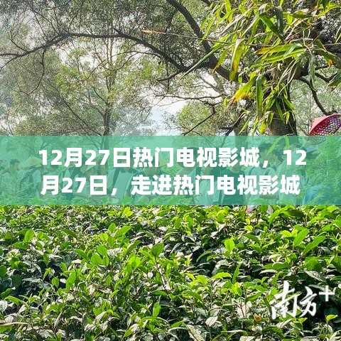 12月27日熱門電視影城，探尋變化中的學(xué)習(xí)之旅，播種自信的種子