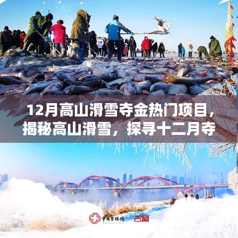 揭秘高山滑雪，十二月奪金熱門項目的魅力與要點解析