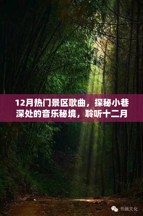 探秘十二月熱門(mén)景區(qū)音樂(lè)秘境，小巷深處的歌曲精選