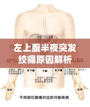 鶯聲燕語 第2頁