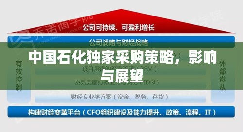 中國石化獨(dú)家采購策略，影響與展望