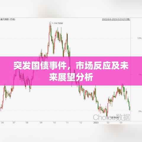突發(fā)國債事件，市場反應(yīng)及未來展望分析