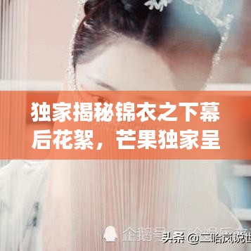 獨家揭秘錦衣之下幕后花絮，芒果獨家呈現(xiàn)，探尋神秘面紗！