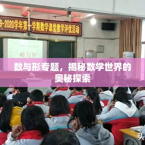 數(shù)與形專題，揭秘?cái)?shù)學(xué)世界的奧秘探索