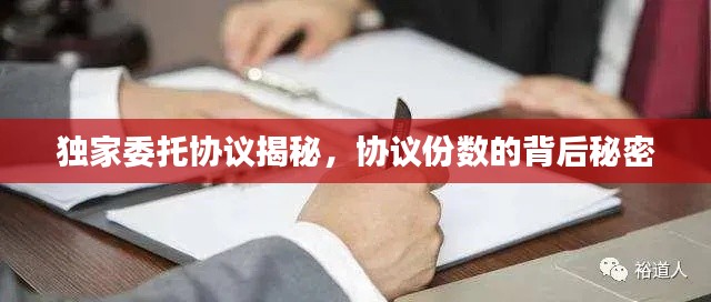 獨(dú)家委托協(xié)議揭秘，協(xié)議份數(shù)的背后秘密