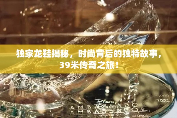 獨家龍鞋揭秘，時尚背后的獨特故事，39米傳奇之旅！