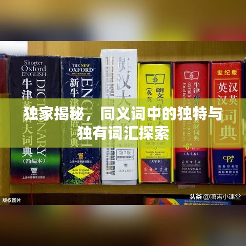 獨(dú)家揭秘，同義詞中的獨(dú)特與獨(dú)有詞匯探索