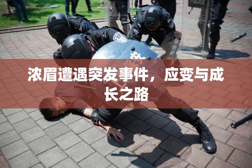 濃眉遭遇突發(fā)事件，應(yīng)變與成長之路