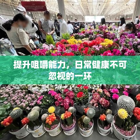 提升咀嚼能力，日常健康不可忽視的一環(huán)