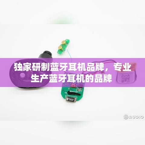獨家研制藍牙耳機品牌，專業(yè)生產藍牙耳機的品牌 