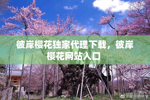 彼岸櫻花獨(dú)家代理下載，彼岸櫻花網(wǎng)站入口 