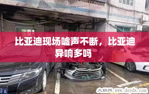 比亞迪現(xiàn)場噓聲不斷，比亞迪異響多嗎 