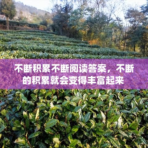 不斷積累不斷閱讀答案，不斷的積累就會變得豐富起來 