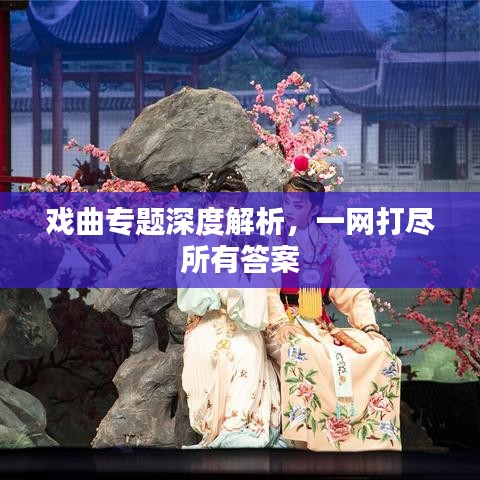 戲曲專題深度解析，一網打盡所有答案